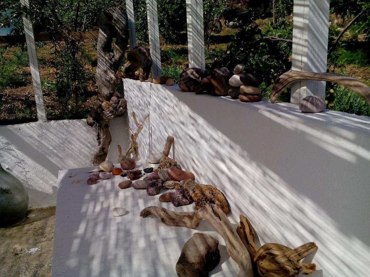 Studios Andromache Σκόπελος Εξωτερικό φωτογραφία